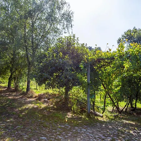 Apartment Quinta Da Comenda - Casa Da Fonte Sao Pedro do Sul